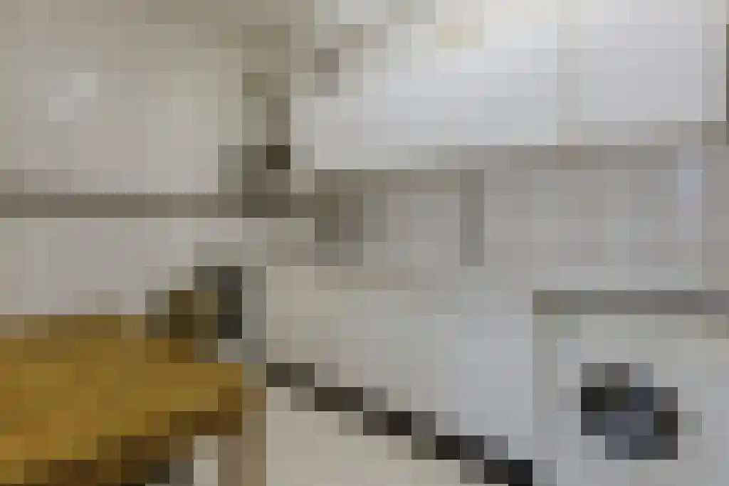 Lage Kant 14 A Breda thumbnail 7