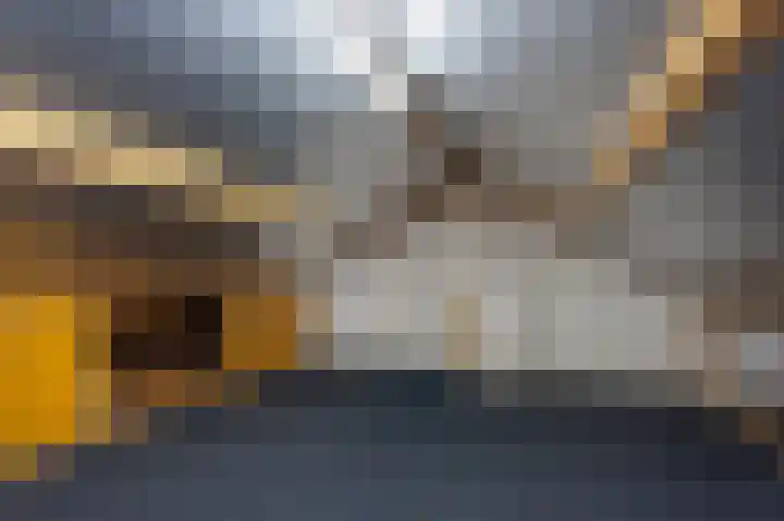 Lage Kant 30 Breda thumbnail 26