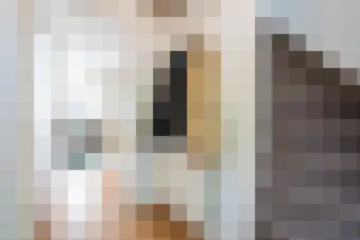 Lage Kant 30 Breda thumbnail 6