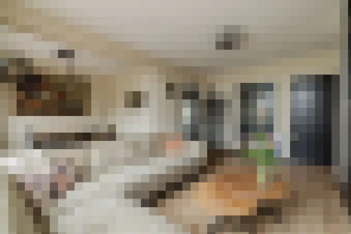 Lage Kant 34 Breda thumbnail 14