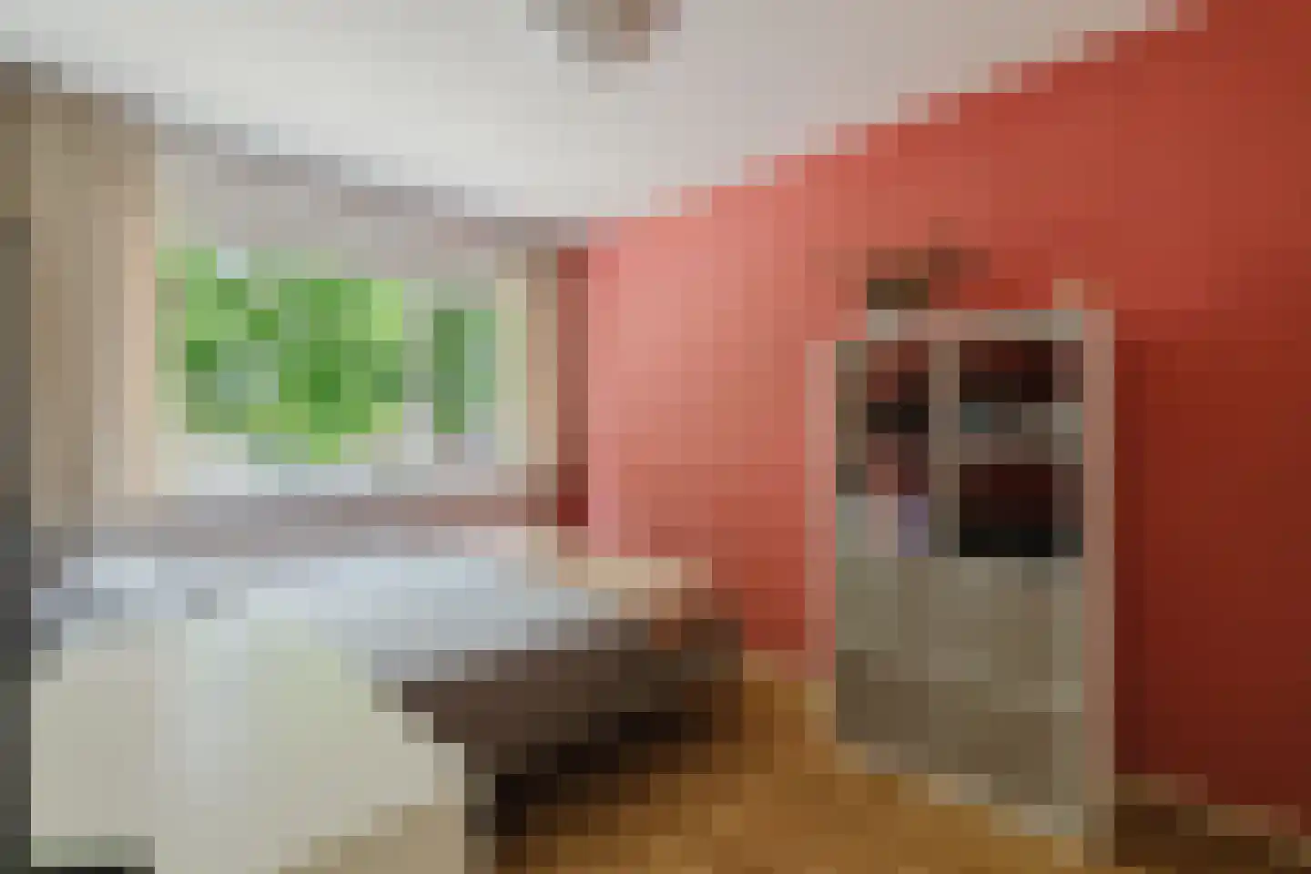 Lage Kant 34 Breda thumbnail 25
