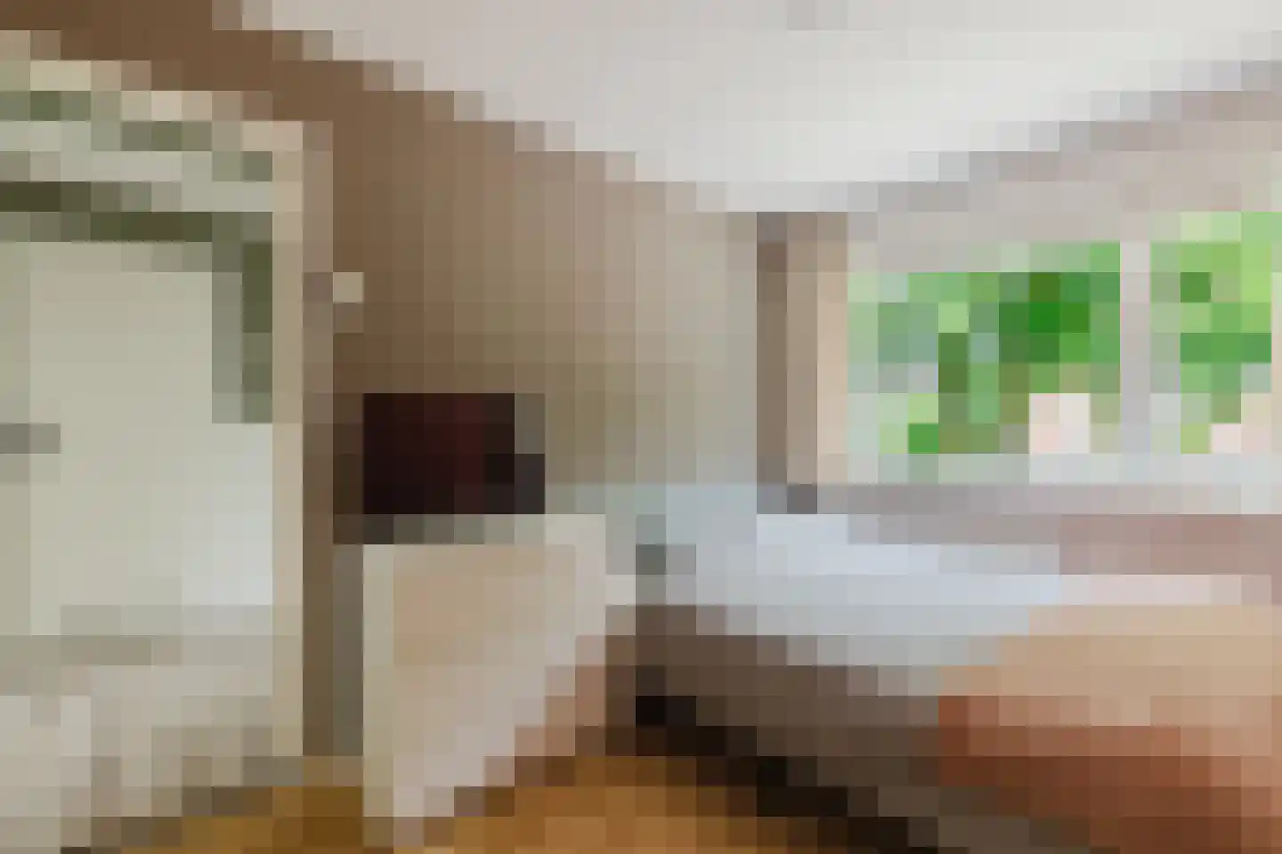 Lage Kant 34 Breda thumbnail 26