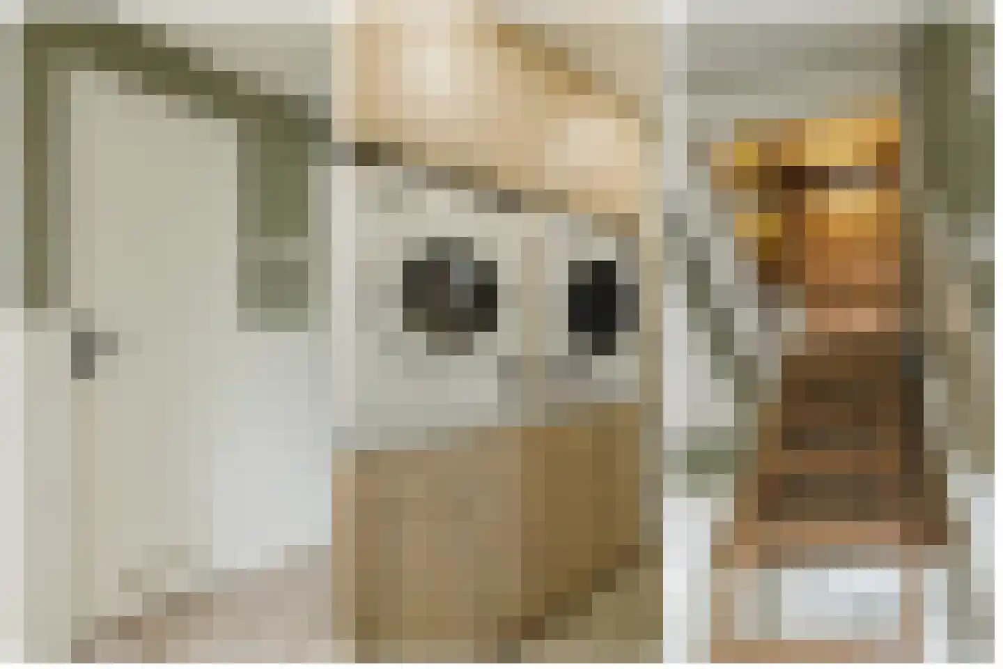 Lage Kant 34 Breda thumbnail 33