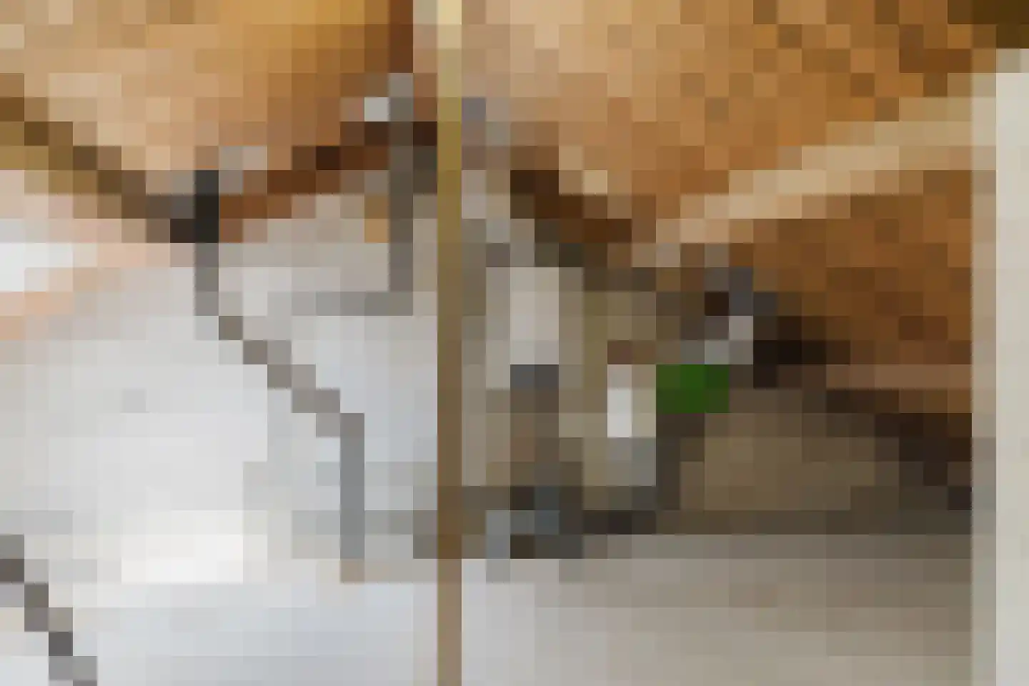 Lage Kant 34 Breda thumbnail 34
