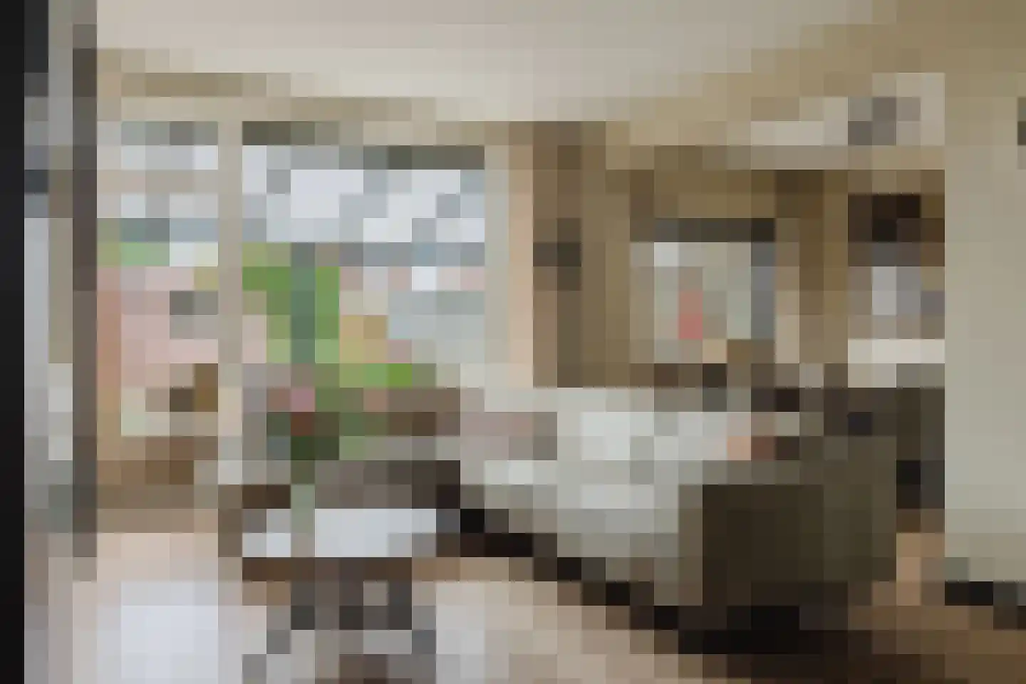 Lage Kant 34 Breda thumbnail 9