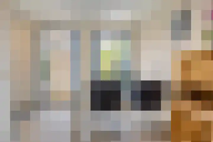 Lage Kant 39 Breda thumbnail 11