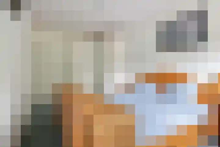 Lage Kant 39 Breda thumbnail 16