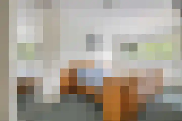 Lage Kant 39 Breda thumbnail 17