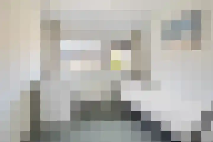 Lage Kant 39 Breda thumbnail 18