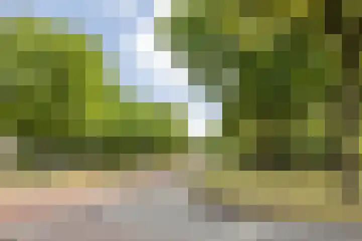 Lage Kant 39 Breda thumbnail 25