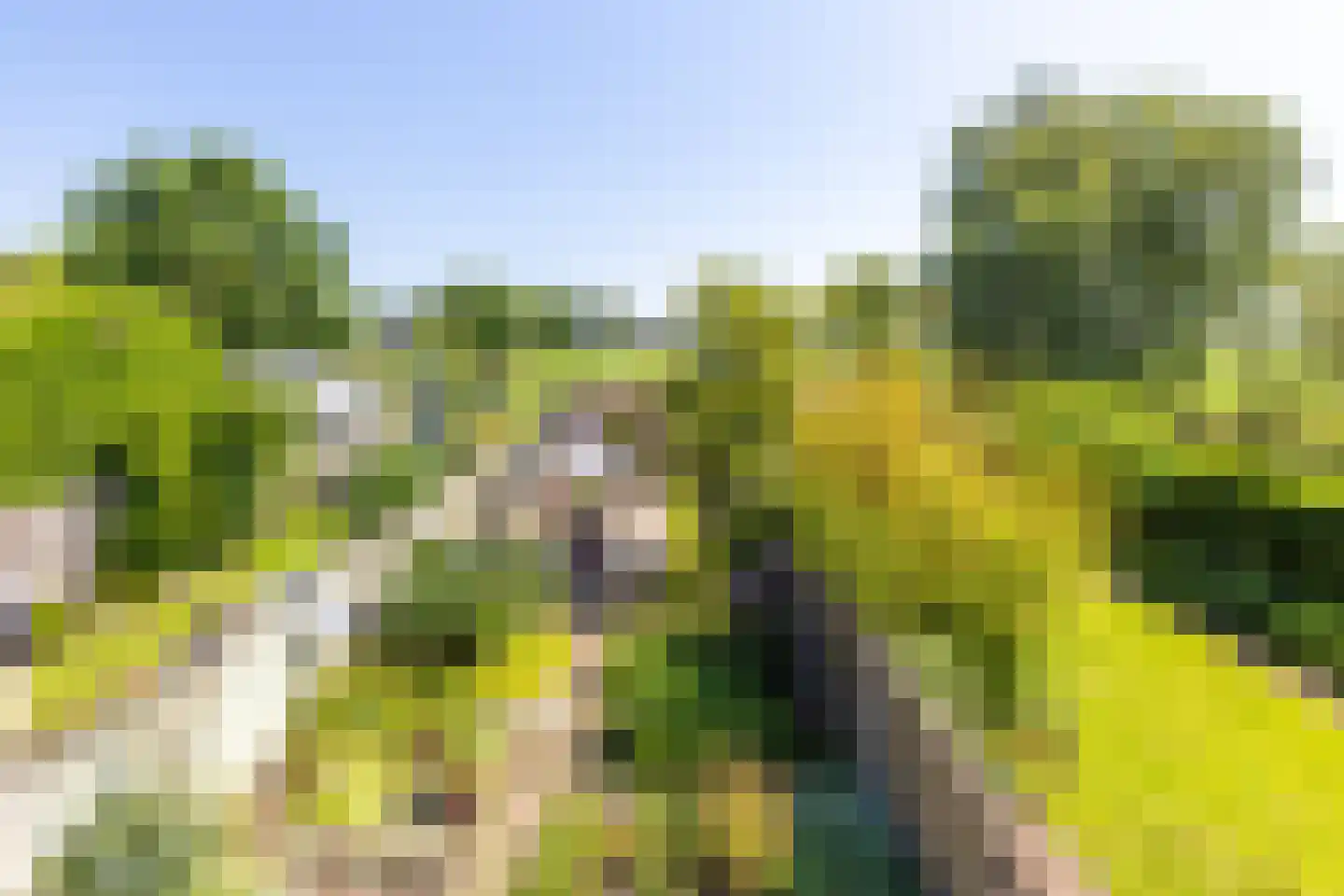 Lage Klompweg 16 b Weesp thumbnail 15