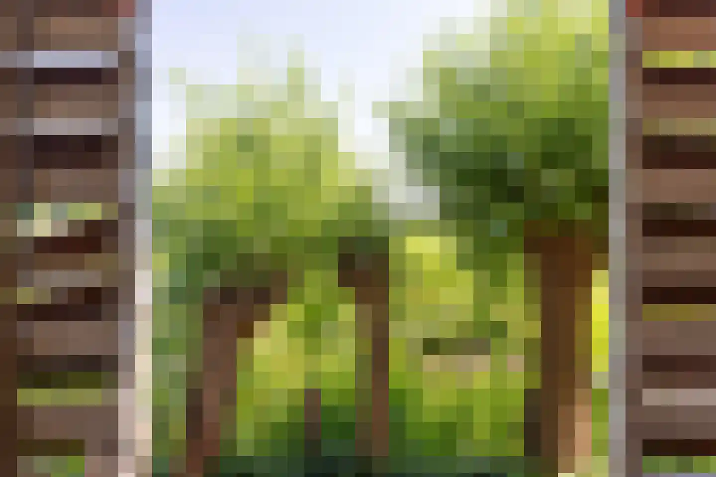 Lage Klompweg 16 b Weesp thumbnail 32