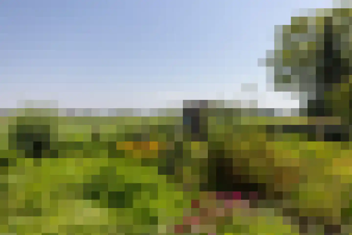 Lage Klompweg 16 b Weesp thumbnail 36