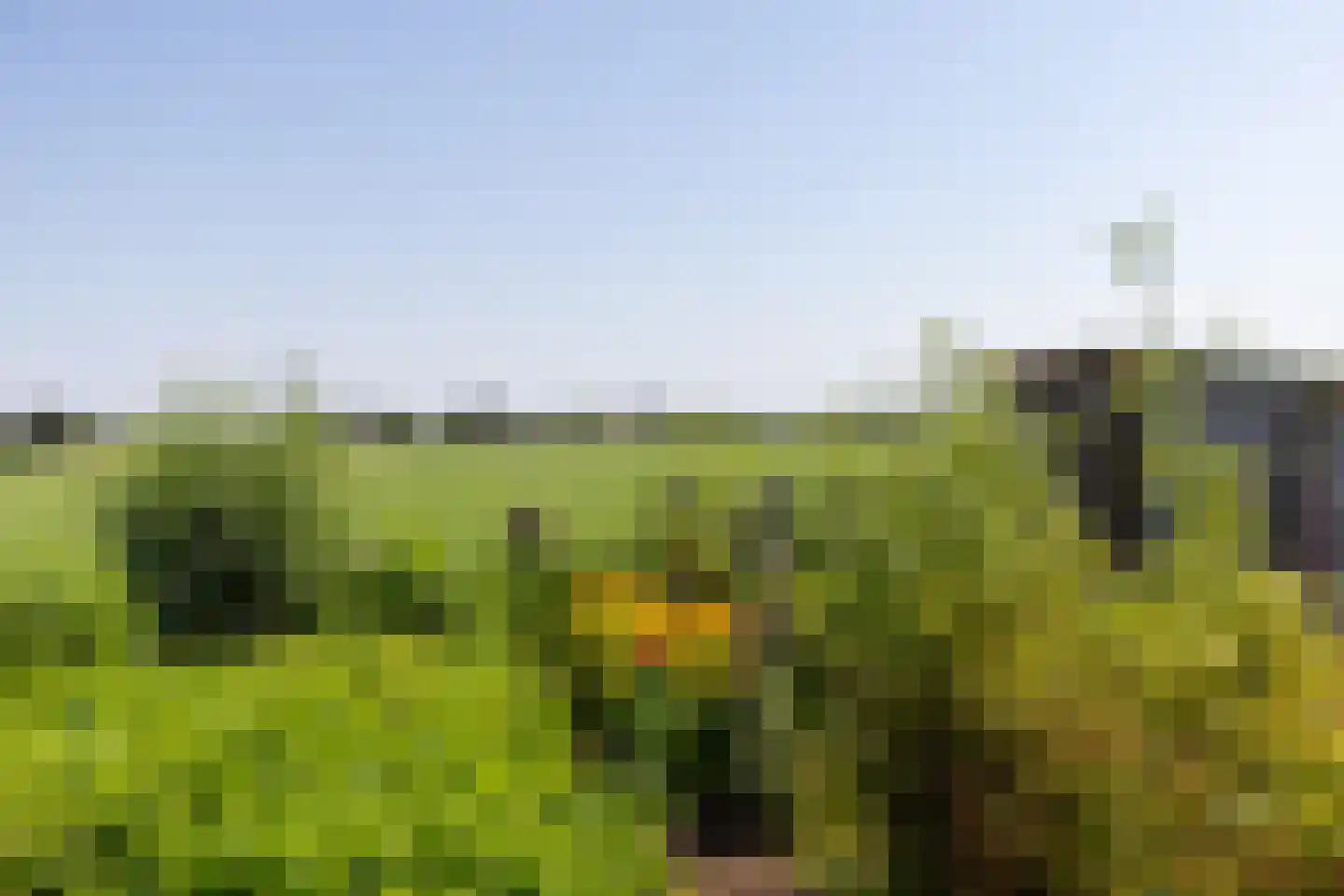 Lage Klompweg 16 b Weesp thumbnail 37