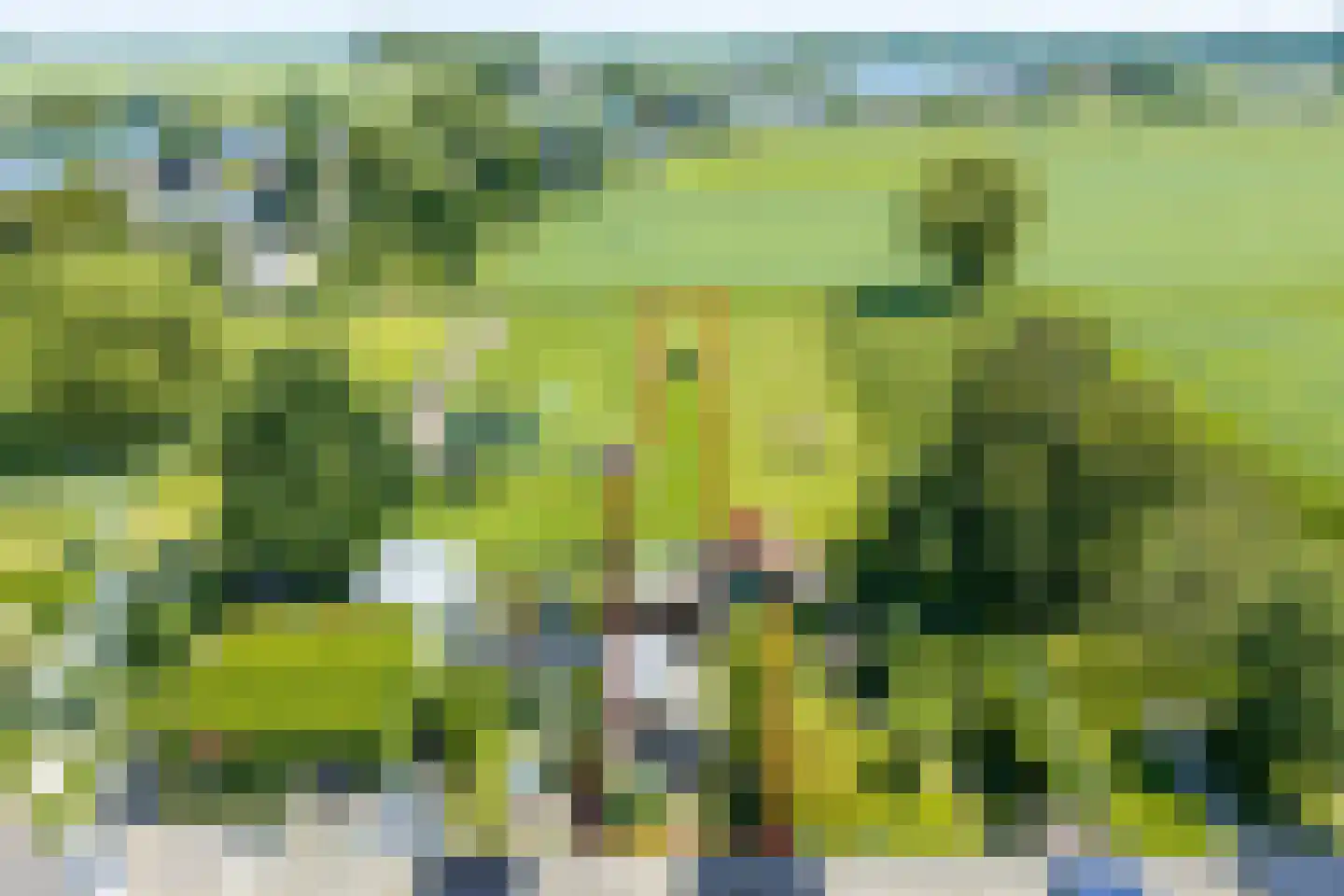 Lage Klompweg 16 b Weesp thumbnail 39