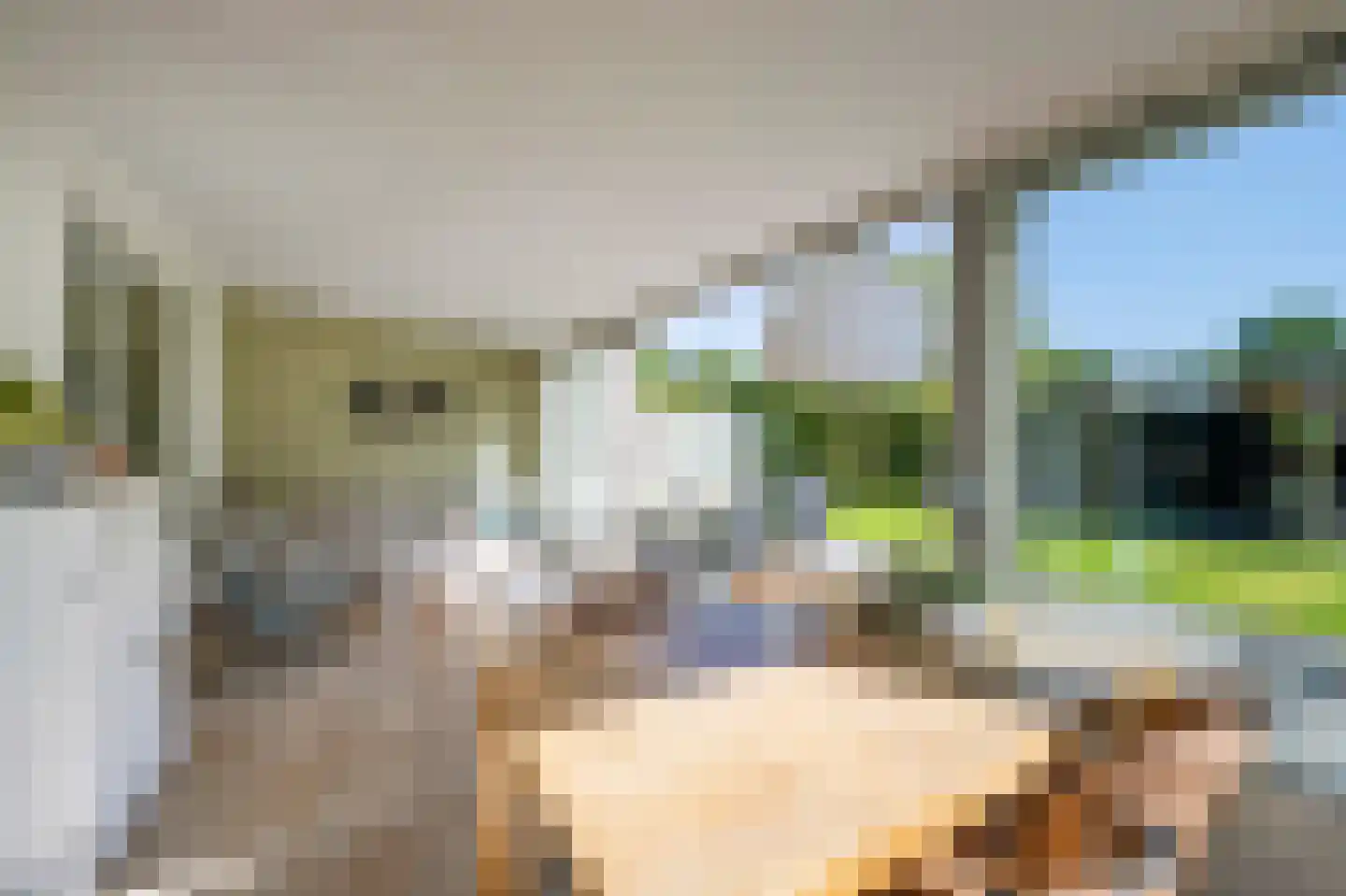 Lage Klompweg 18 a Weesp thumbnail 33