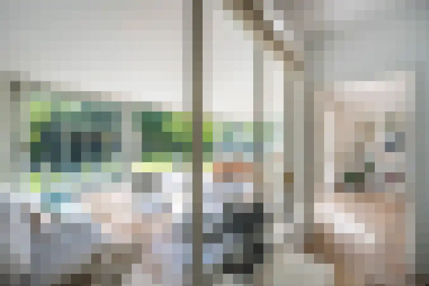 Lage Klompweg 18 a Weesp thumbnail 34