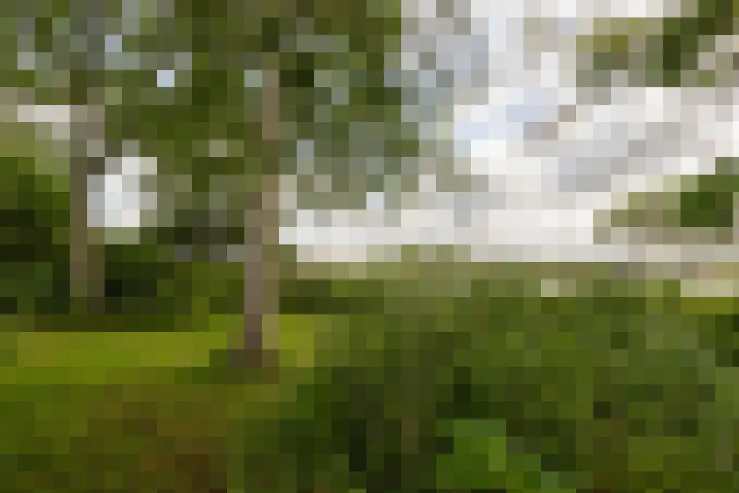 Lage Klompweg 887 s Weesp thumbnail 15