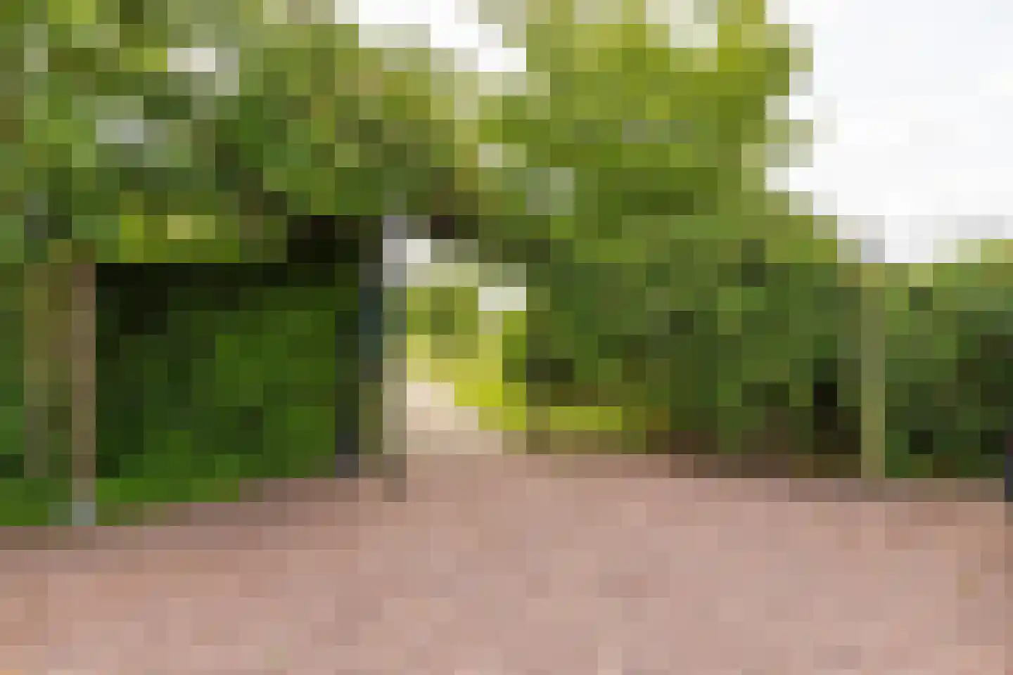 Lage Klompweg 887 s Weesp thumbnail 25