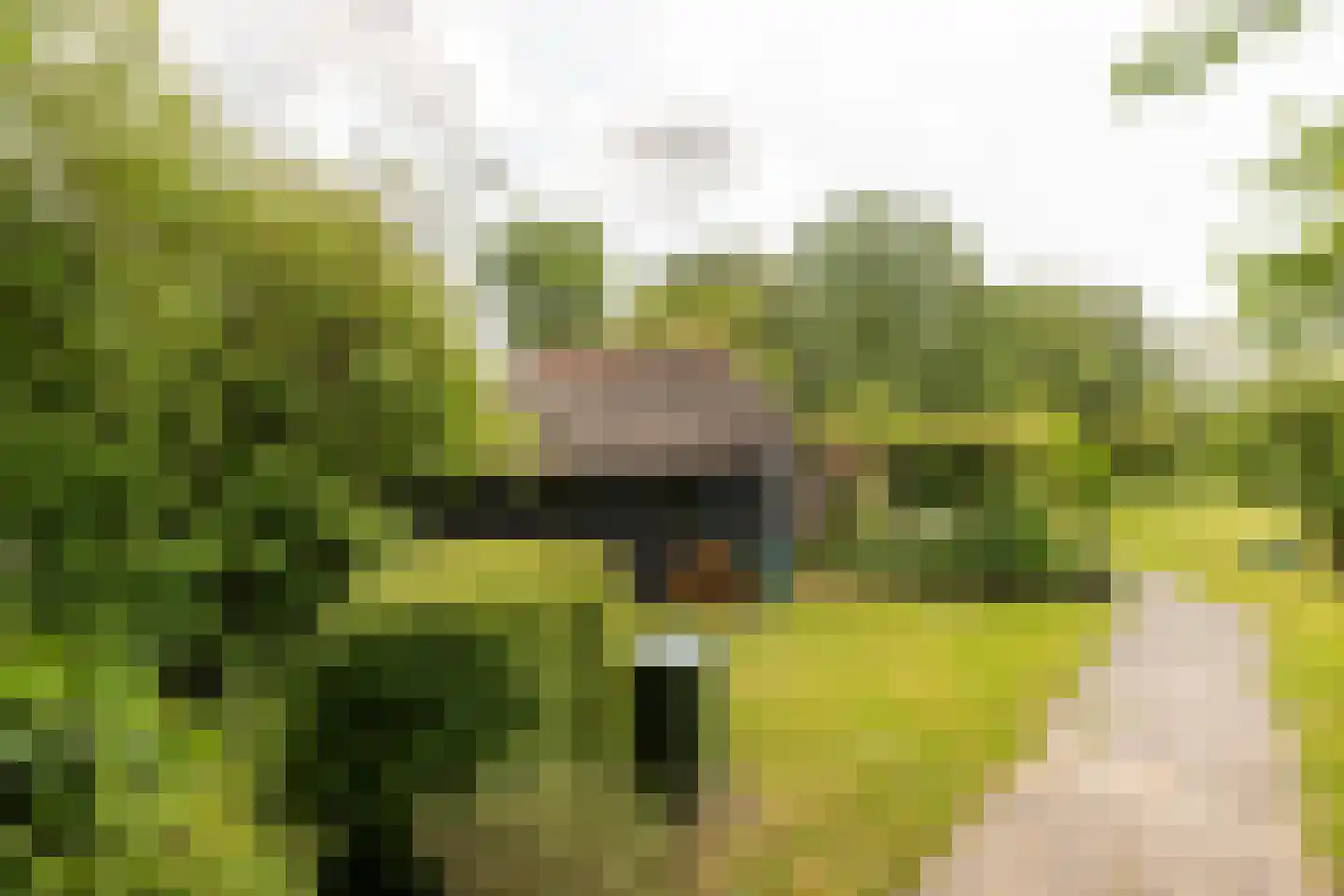 Lage Klompweg 887 s Weesp thumbnail 26