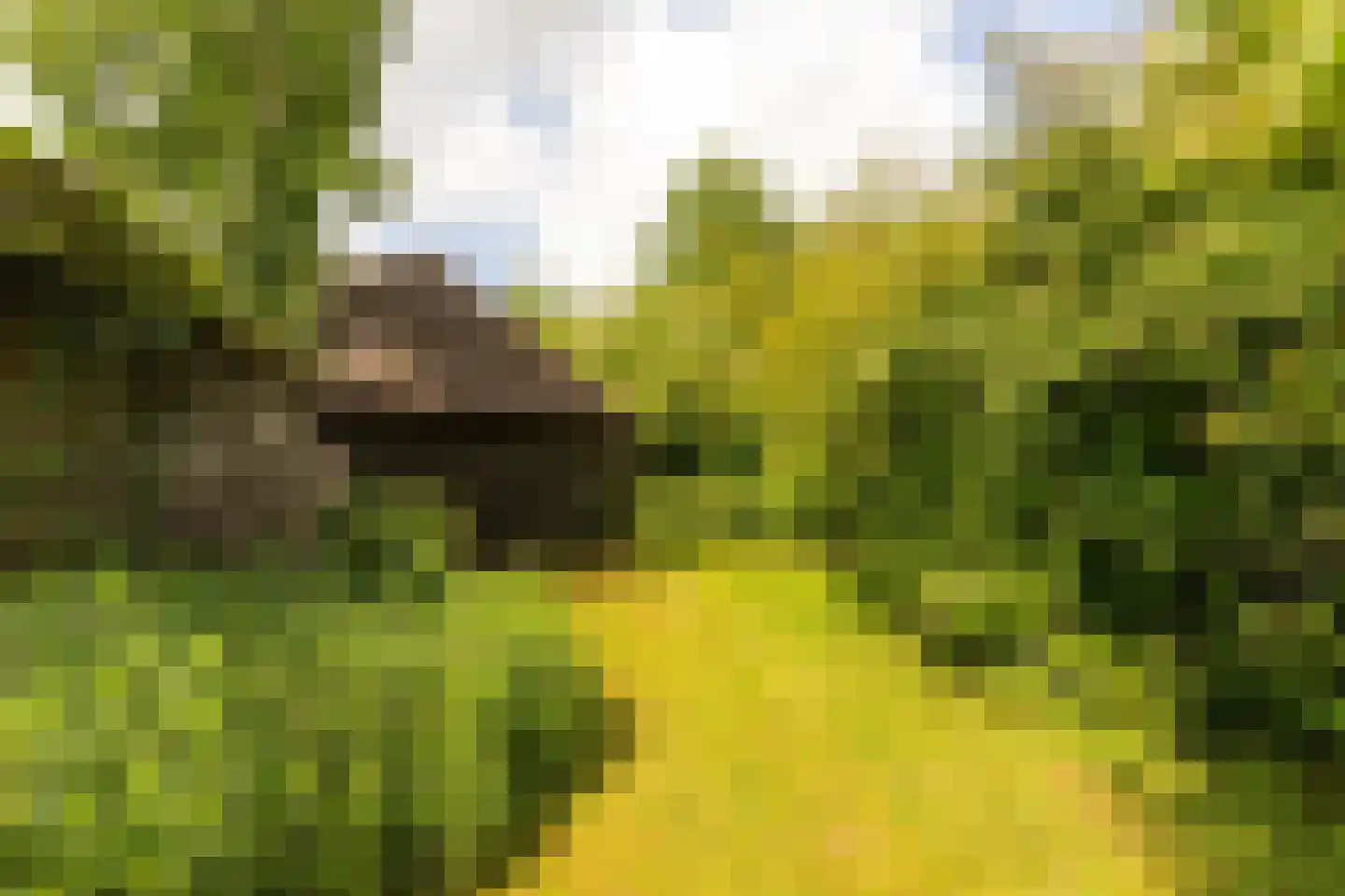 Lage Klompweg 887 s Weesp thumbnail 32
