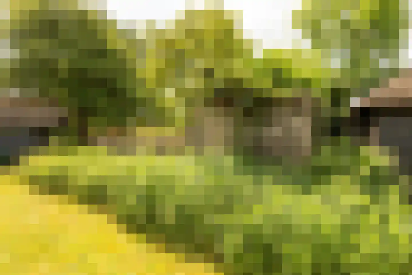 Lage Klompweg 887 s Weesp thumbnail 33