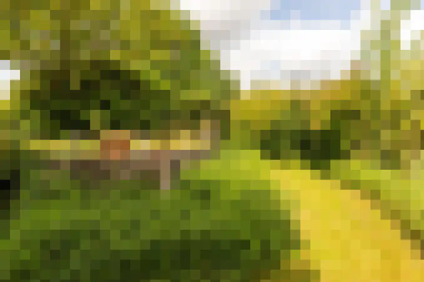 Lage Klompweg 887 s Weesp thumbnail 34
