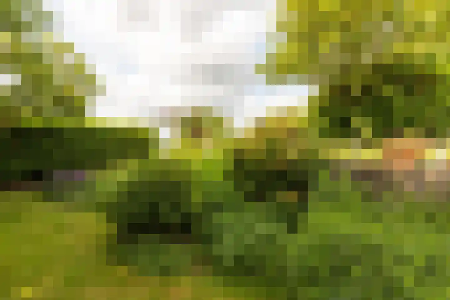 Lage Klompweg 887 s Weesp thumbnail 35