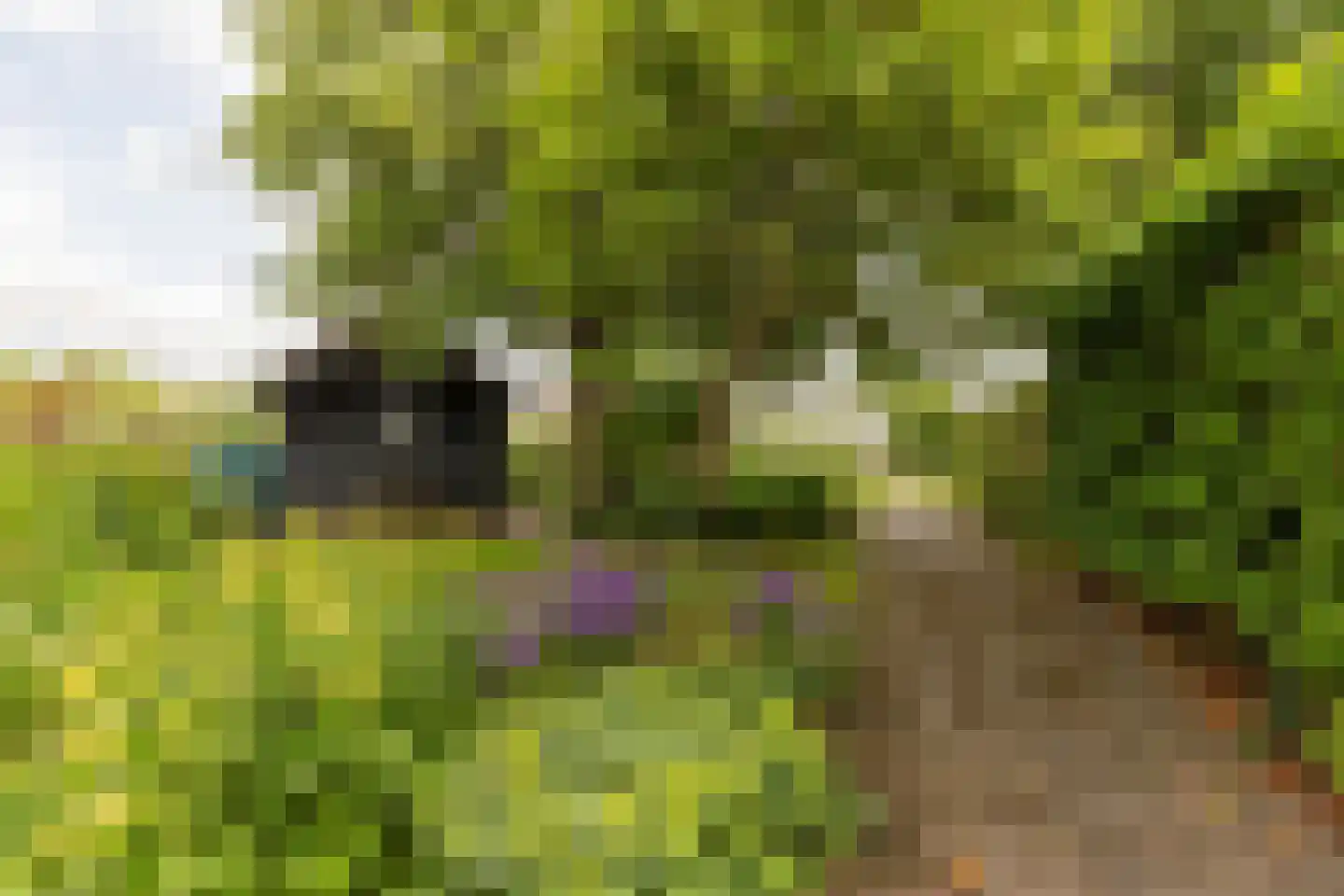 Lage Klompweg 887 s Weesp thumbnail 37