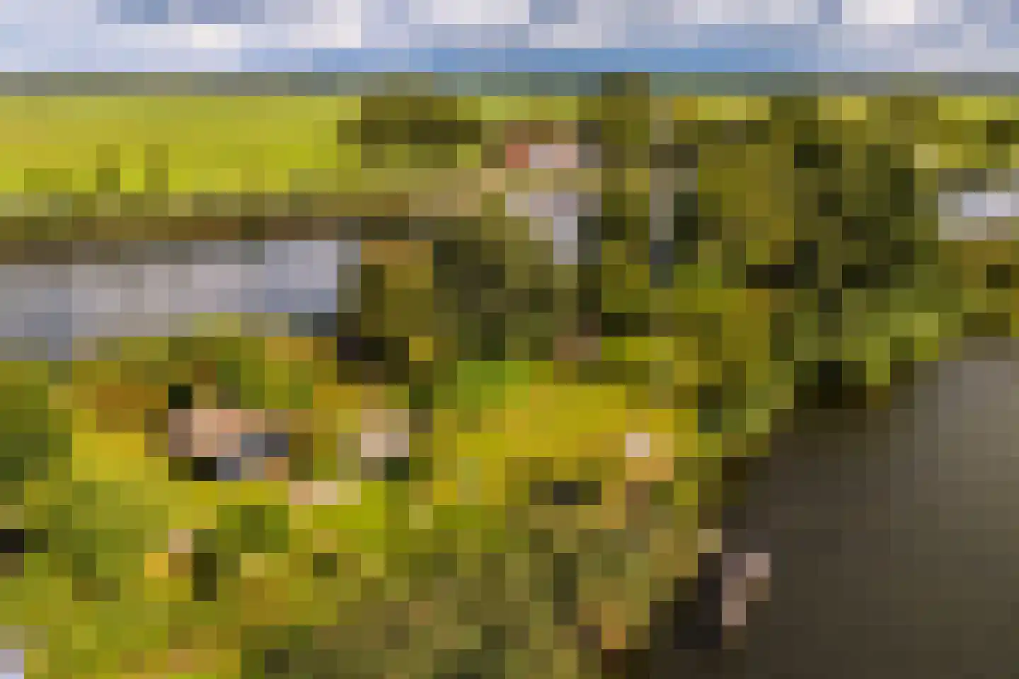 Lage Klompweg 887 s Weesp thumbnail 4