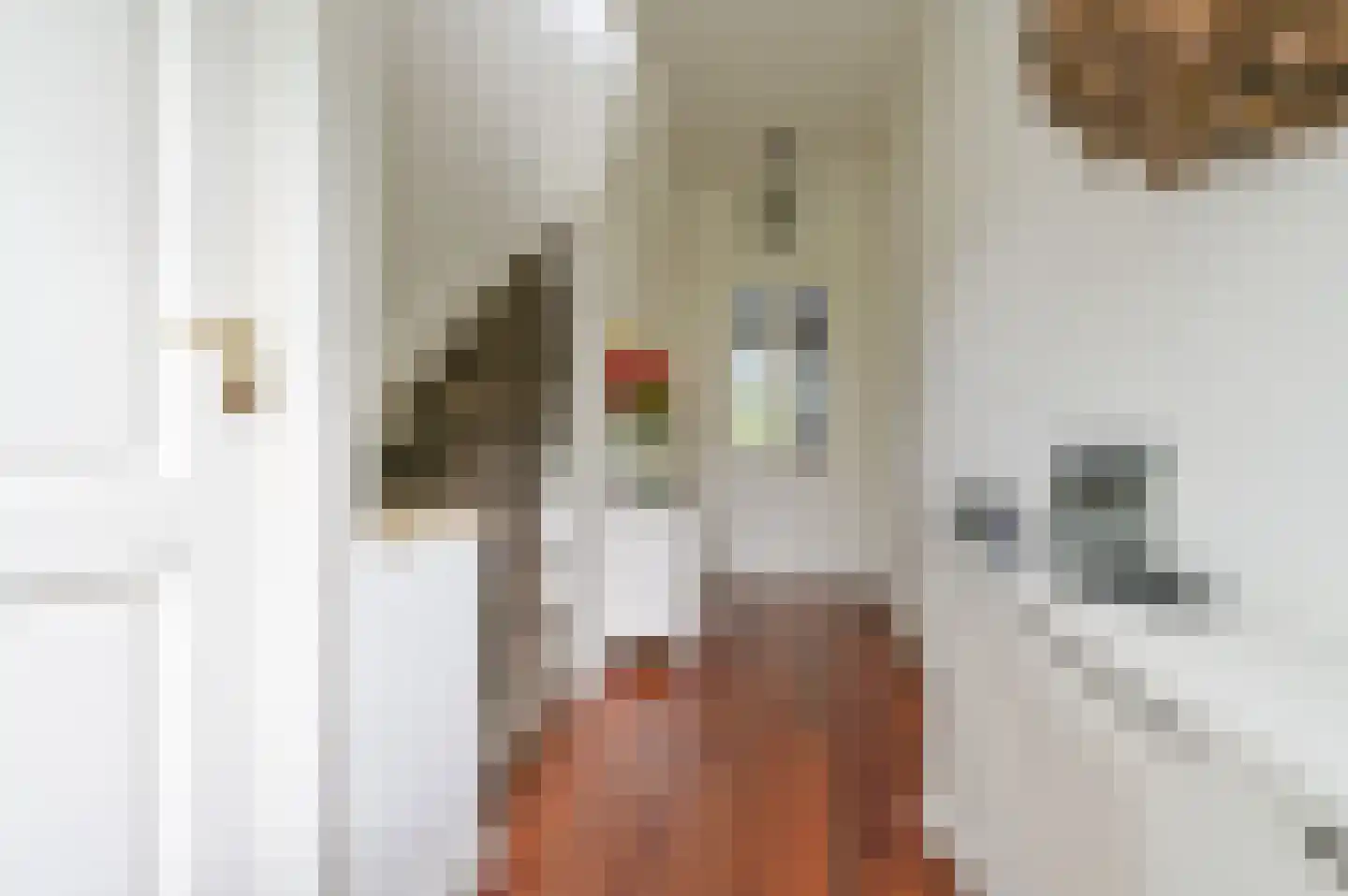 Lage Laarderweg 11 Huizen thumbnail 13