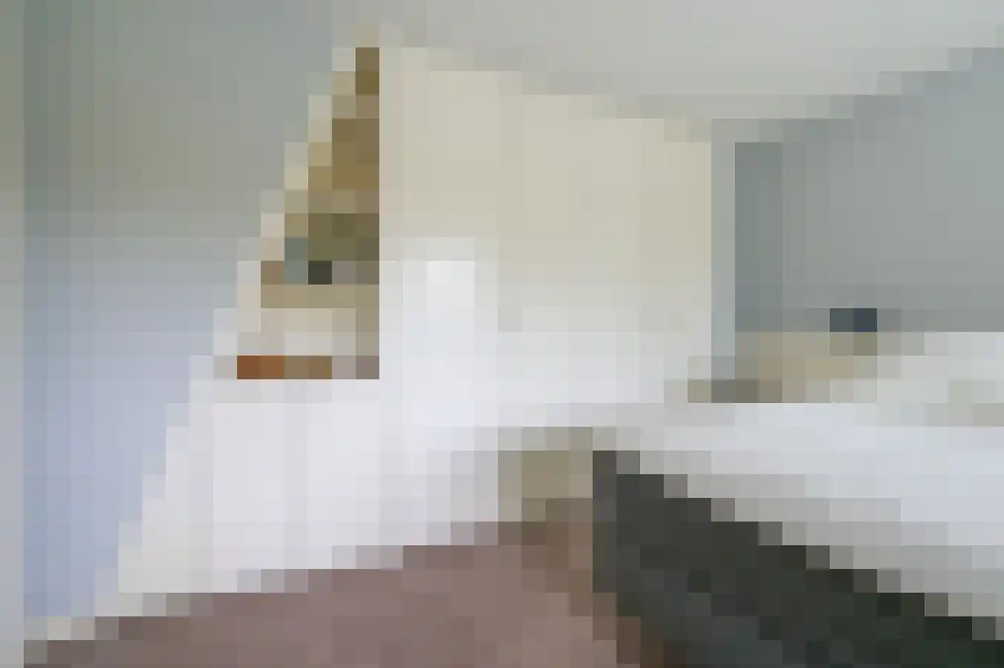 Lage Laarderweg 11 Huizen thumbnail 17