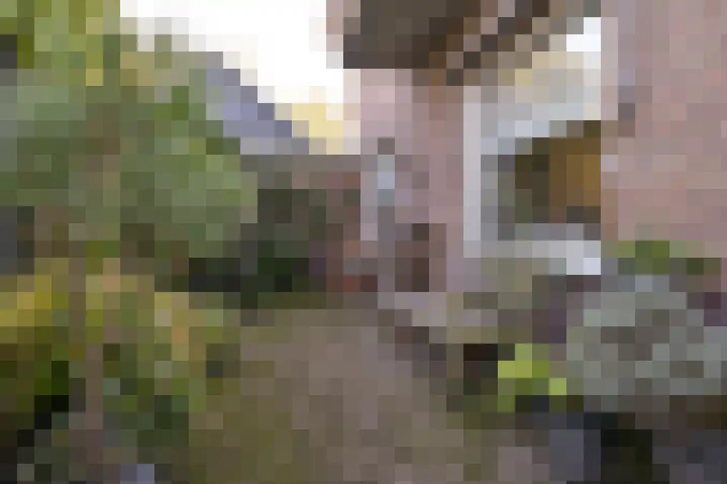 Lage Laarderweg 11 Huizen thumbnail 30