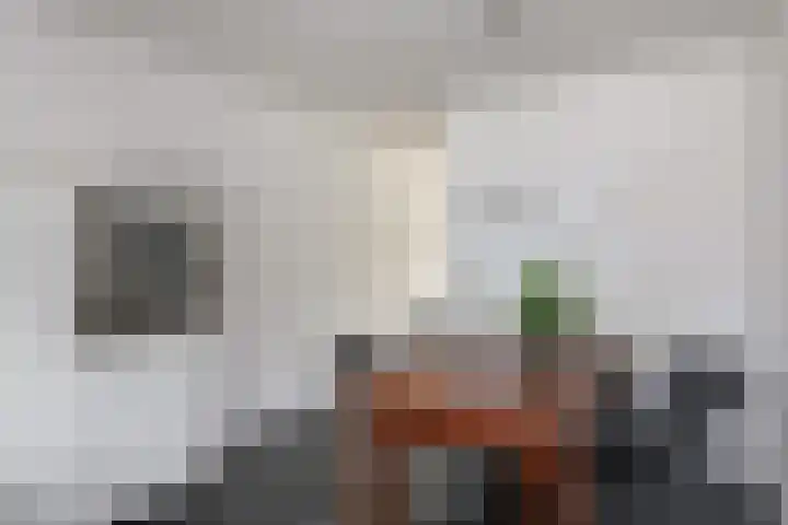 Lage Landenlaan 40 Apeldoorn thumbnail 14
