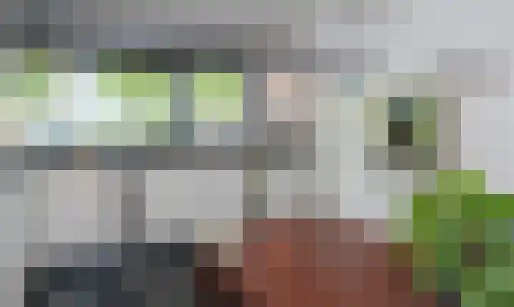 Lage Landenlaan 40 Apeldoorn thumbnail 15