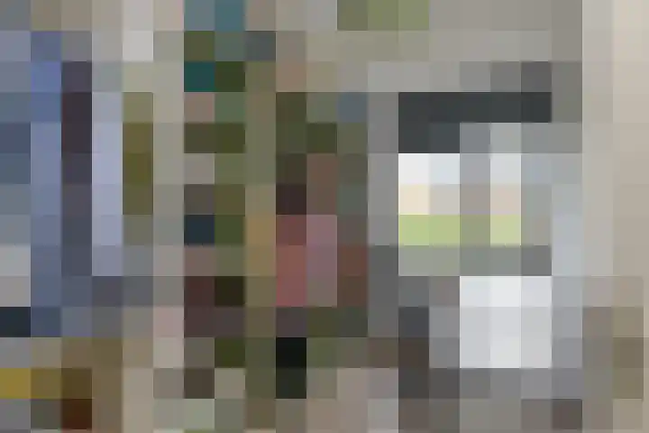 Lage Landenlaan 40 Apeldoorn thumbnail 17