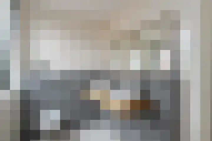 Lage Landenlaan 40 Apeldoorn thumbnail 20