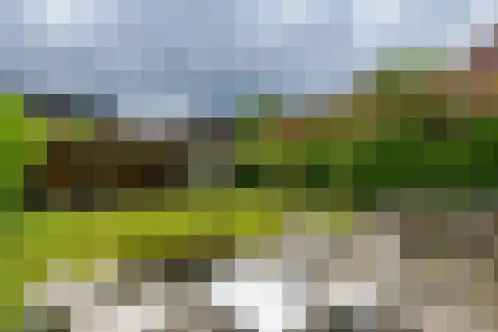 Lage Landenlaan 40 Apeldoorn thumbnail 29