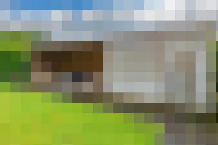 Lage Landenlaan 40 Apeldoorn thumbnail 31
