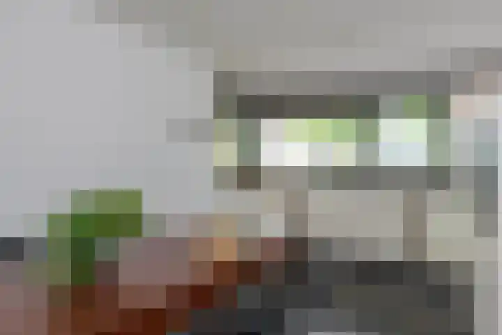 Lage Landenlaan 40 Apeldoorn thumbnail 4