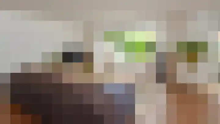 Lage Landenlaan 40 Apeldoorn thumbnail 8
