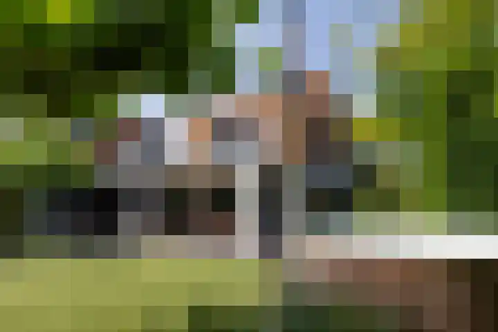 Lage Landenlaan 56 Apeldoorn thumbnail 28