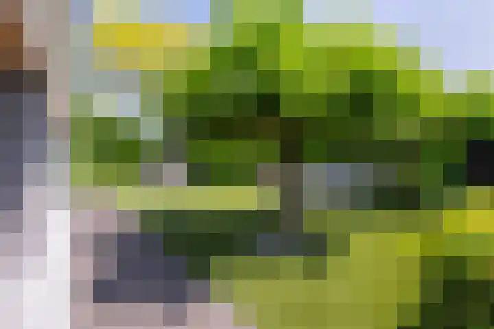 Lage Landenlaan 56 Apeldoorn thumbnail 29