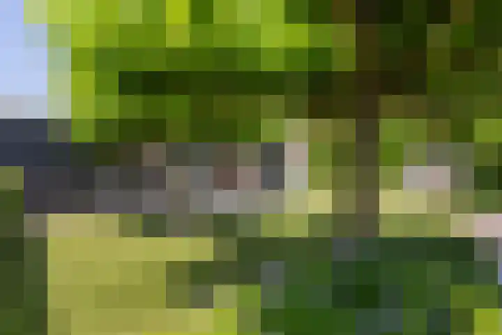 Lage Landenlaan 56 Apeldoorn thumbnail 30