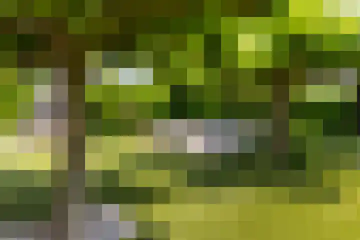 Lage Landenlaan 56 Apeldoorn thumbnail 31