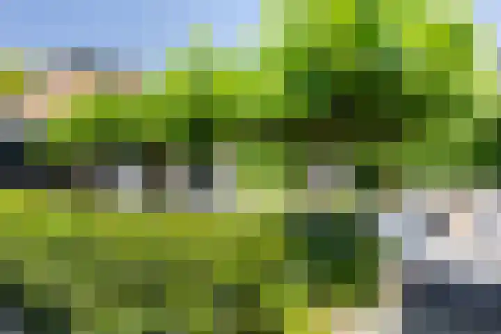Lage Landenlaan 56 Apeldoorn thumbnail 32