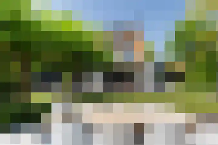 Lage Landenlaan 56 Apeldoorn thumbnail 33