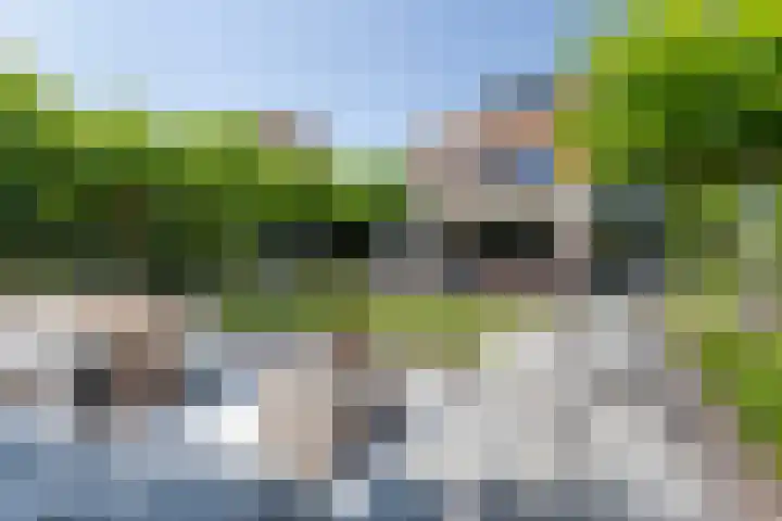 Lage Landenlaan 56 Apeldoorn thumbnail 34