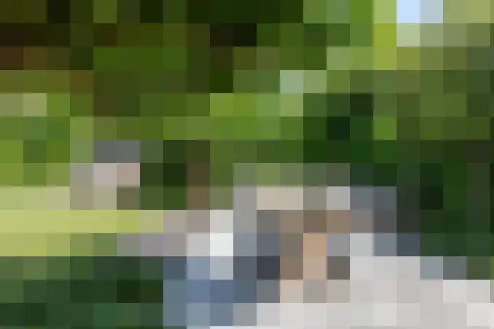 Lage Landenlaan 56 Apeldoorn thumbnail 35