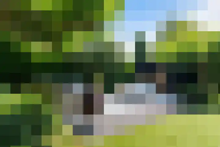 Lage Landenlaan 56 Apeldoorn thumbnail 37
